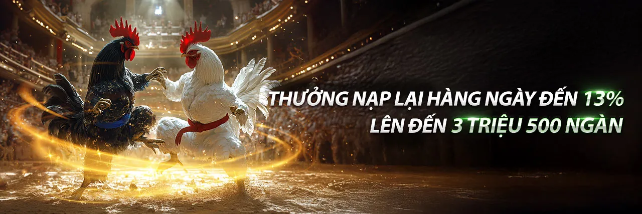 Tổng quan về GDPR và cam kết của 1888v app đối với bảo vệ dữ liệu
